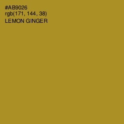 #AB9026 - Lemon Ginger Color Image