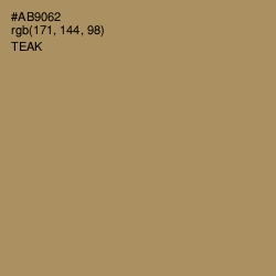 #AB9062 - Teak Color Image