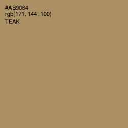 #AB9064 - Teak Color Image