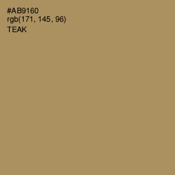 #AB9160 - Teak Color Image