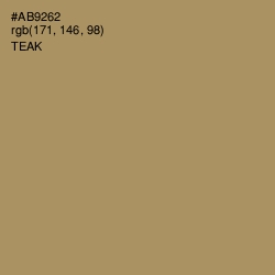 #AB9262 - Teak Color Image