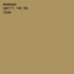 #AB9460 - Teak Color Image