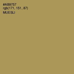 #AB9757 - Muesli Color Image