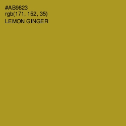 #AB9823 - Lemon Ginger Color Image