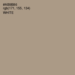 #AB9B86 - Zorba Color Image