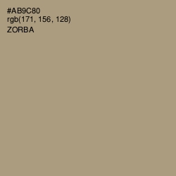 #AB9C80 - Zorba Color Image