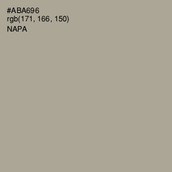 #ABA696 - Napa Color Image