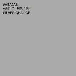 #ABA9A8 - Silver Chalice Color Image