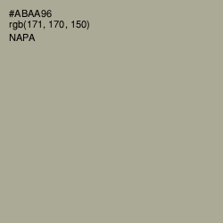 #ABAA96 - Napa Color Image