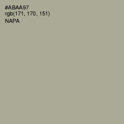 #ABAA97 - Napa Color Image