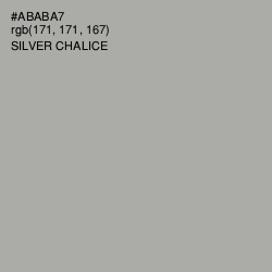 #ABABA7 - Silver Chalice Color Image