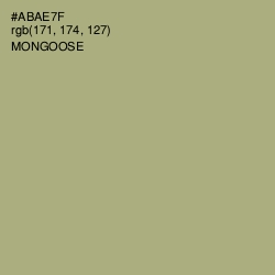 #ABAE7F - Mongoose Color Image