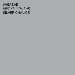 #ABAEAE - Silver Chalice Color Image