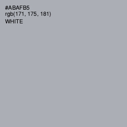 #ABAFB5 - Aluminium Color Image