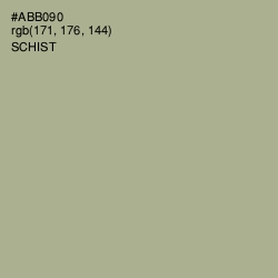 #ABB090 - Schist Color Image