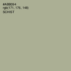 #ABB094 - Schist Color Image