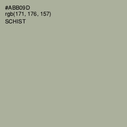 #ABB09D - Schist Color Image