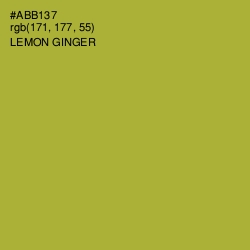 #ABB137 - Lemon Ginger Color Image