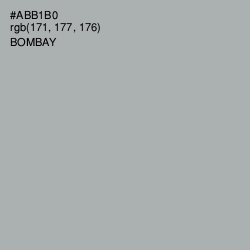 #ABB1B0 - Bombay Color Image