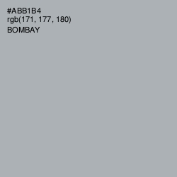 #ABB1B4 - Bombay Color Image