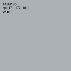 #ABB1B5 - Bombay Color Image