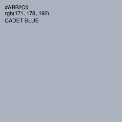 #ABB2C0 - Cadet Blue Color Image