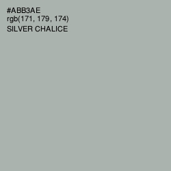 #ABB3AE - Silver Chalice Color Image