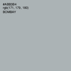 #ABB3B4 - Bombay Color Image