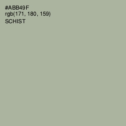 #ABB49F - Schist Color Image