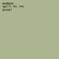 #ABB590 - Schist Color Image