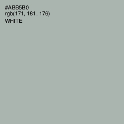 #ABB5B0 - Bombay Color Image