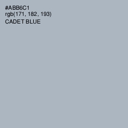 #ABB6C1 - Cadet Blue Color Image