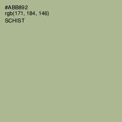 #ABB892 - Schist Color Image