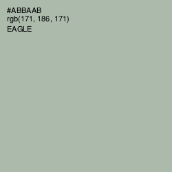 #ABBAAB - Eagle Color Image