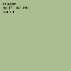 #ABBD91 - Schist Color Image