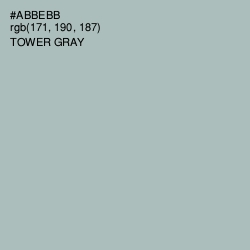 #ABBEBB - Tower Gray Color Image