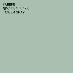 #ABBFB1 - Tower Gray Color Image