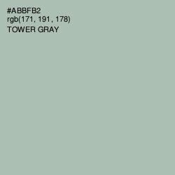 #ABBFB2 - Tower Gray Color Image