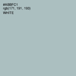 #ABBFC1 - Cadet Blue Color Image