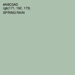 #ABC0AD - Spring Rain Color Image