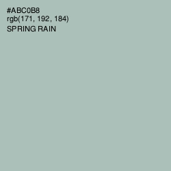 #ABC0B8 - Spring Rain Color Image