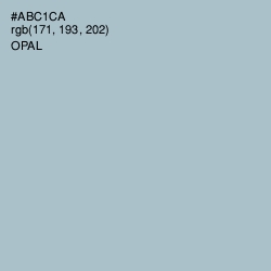 #ABC1CA - Opal Color Image