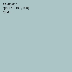 #ABC5C7 - Opal Color Image