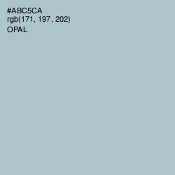 #ABC5CA - Opal Color Image