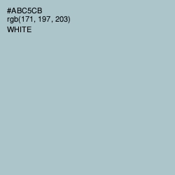 #ABC5CB - Opal Color Image