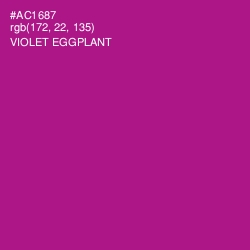 #AC1687 - Violet Eggplant Color Image