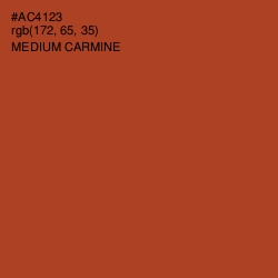 #AC4123 - Medium Carmine Color Image