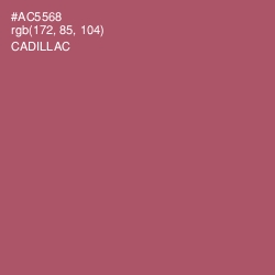 #AC5568 - Cadillac Color Image