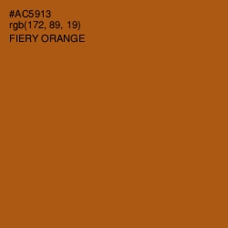 #AC5913 - Fiery Orange Color Image