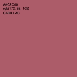 #AC5C69 - Cadillac Color Image